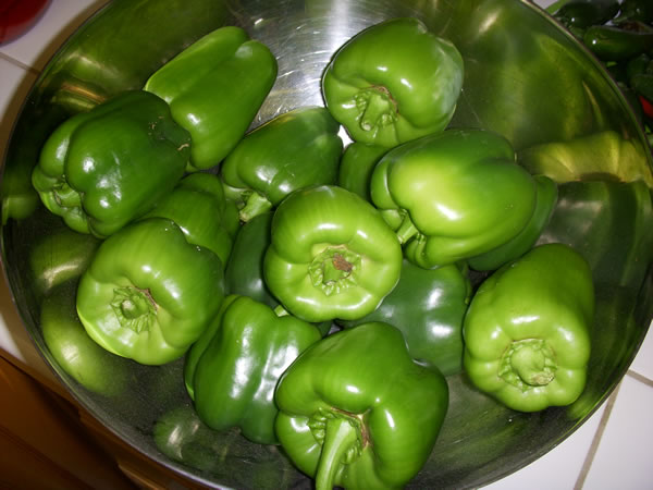 Green Peppers 1