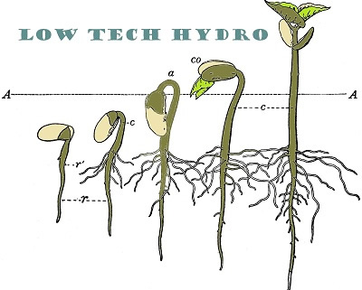 Low Tech Hydro Logo